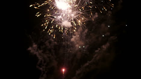 espectáculo de fuegos artificiales de año nuevo 12