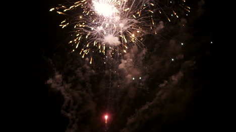 new year firework display 12