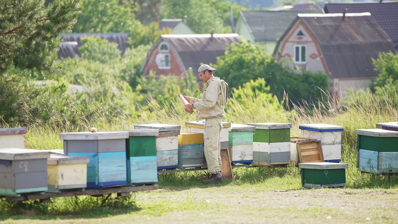 Experienced beekeeper checking up honey frames on his bee farm. Man working on apiary with wooden hives. Village at the backdrop.
