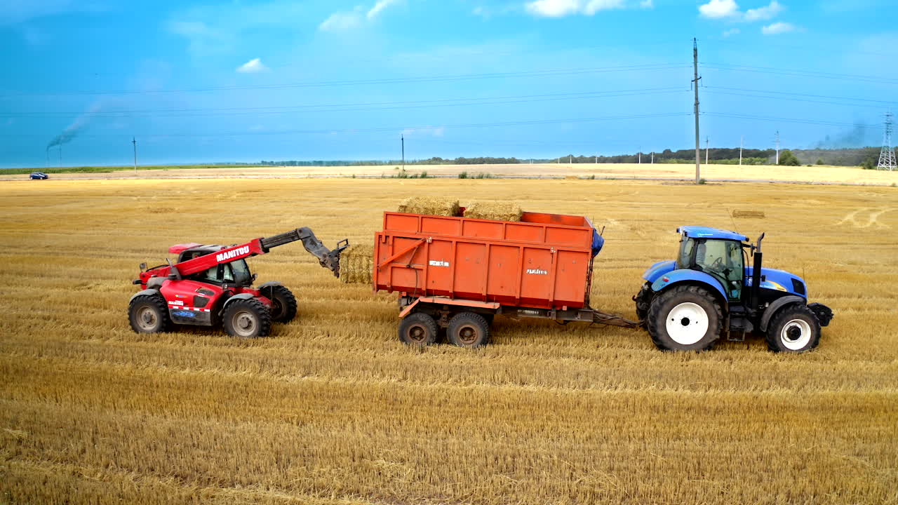 Tractor loads bales of hay. Agricultural machinery collects dry straw in rolls