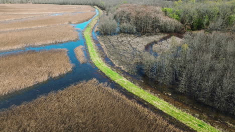 Narrow-Water-Stream-At-Bell-Slough-State-Wildlife-Management-Area-In-Arkansas,-USA---Aerial-Drone-Shot