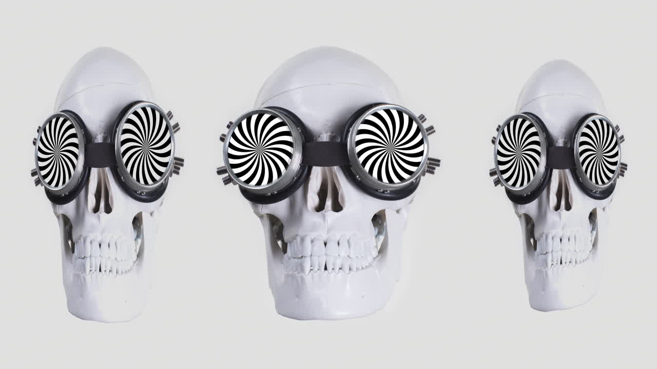 череп человека с солнцезащитными очками