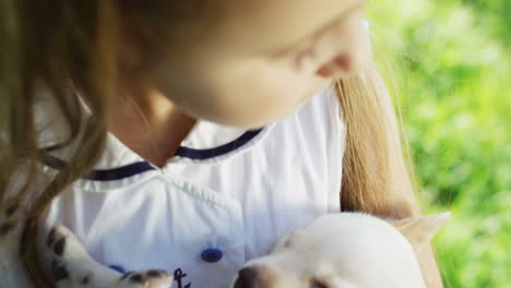 top view of cute small caucasian girl holding and hugging a labrador puppy sleeping in her arms