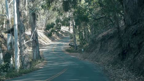 Unidad-De-Cámara-Lenta-A-Través-De-Un-Bosque-Costero-Alto-En-Un-Camino-Sinuoso-En-Un-Día-Soleado-De-Verano,-Los-Osos,-California