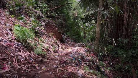 Desechos-De-Basura-En-Los-Senderos-Dentro-Del-Bosque-Tropical-En-Bali,-Indonesia