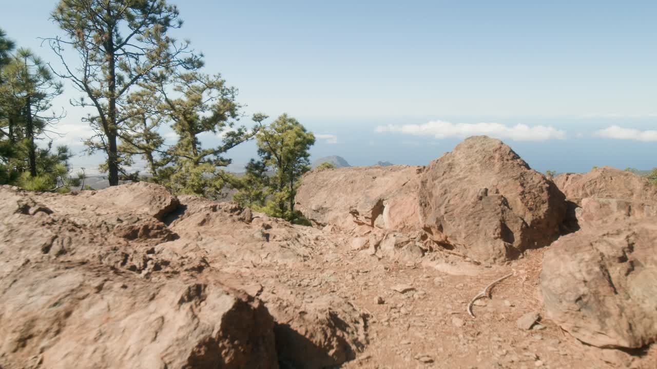 paisaje del sur de tenerife con bosque de pinos visto desde un mirador rocoso en primavera, islas canarias, españa