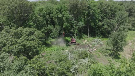 Vista-Giratoria-De-Drones-De-Máquinas-Automatizadas-Que-Cortan-árboles-Y-Destruyen-La-Naturaleza.