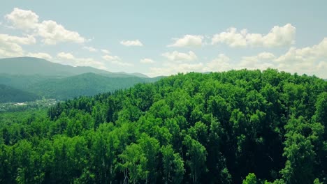 aerial flying over mountains and forest under cloudy sky