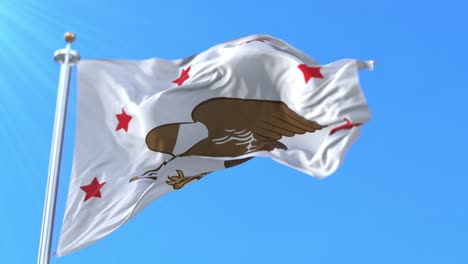 republic of madawaska flag. loop