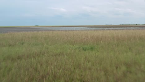 flying over green meadows through salty wetlands of slano kopovo nature reserve in serbia. - aerial drone shot