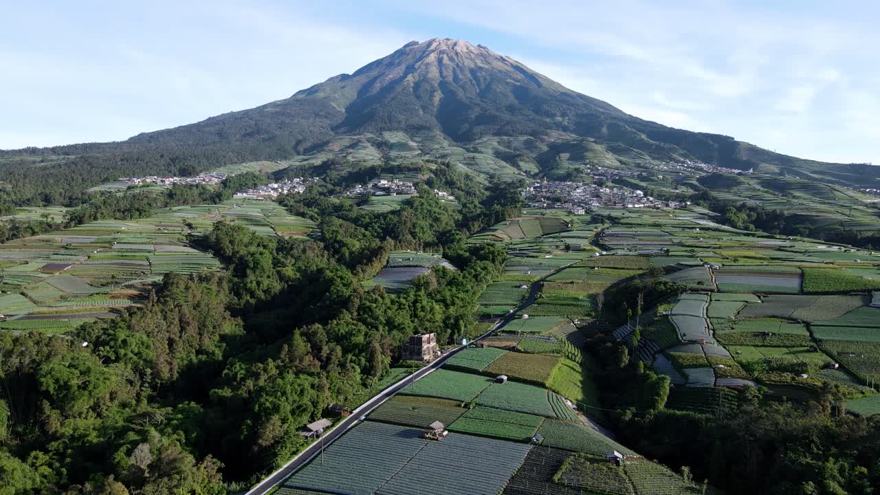 vuela sobre una plantación de verduras verdes en la ladera de la montaña