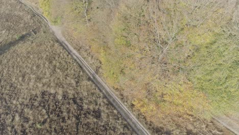 tiro de drone de ciclista de montaña en la naturaleza