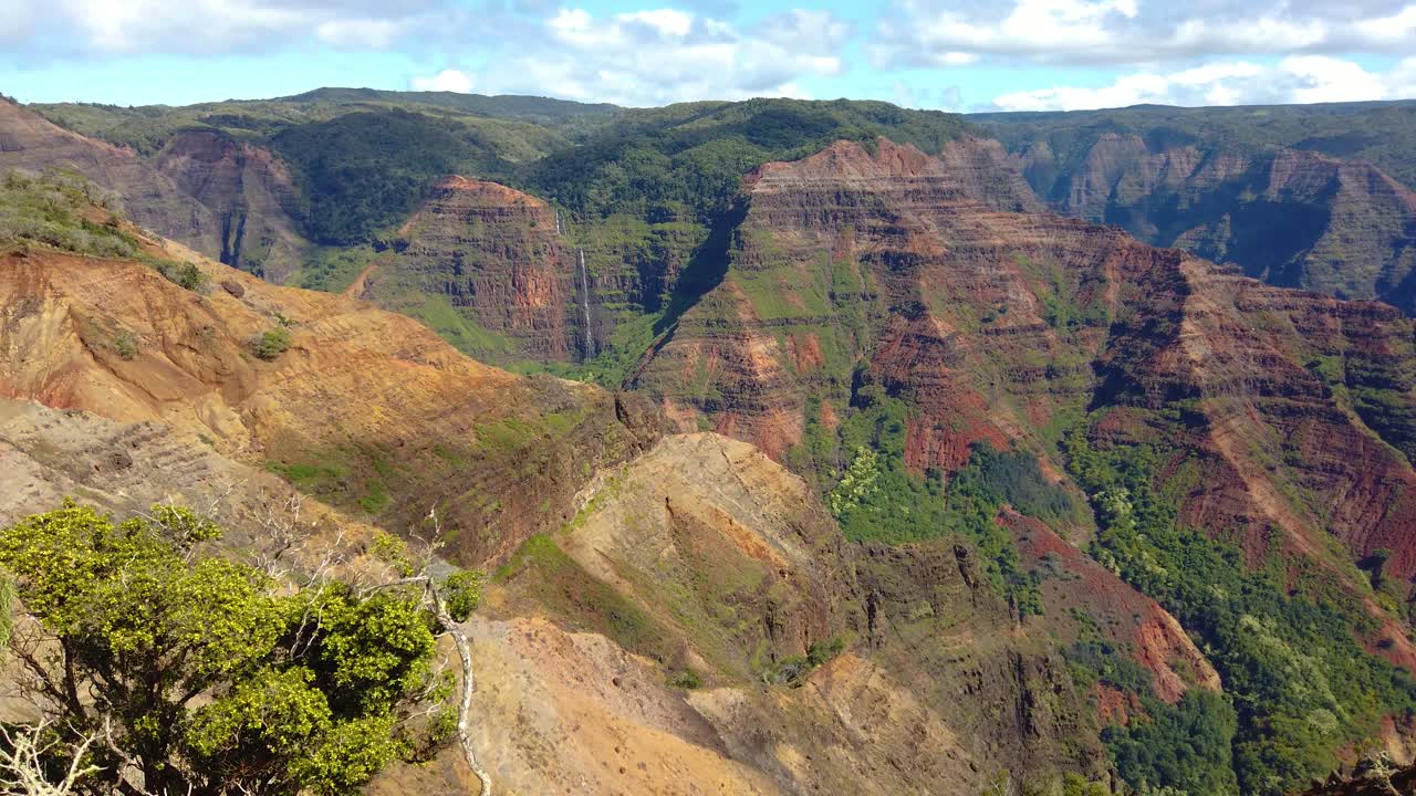 4k hawaii kauai se eleva desde la hierba alta para revelar el cañón waimea con una cascada a lo lejos y un cielo parcialmente nublado
