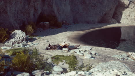 water-level-to-the-steep-coastal-cliffs-of-the-coast-of-the-sea-lagoon