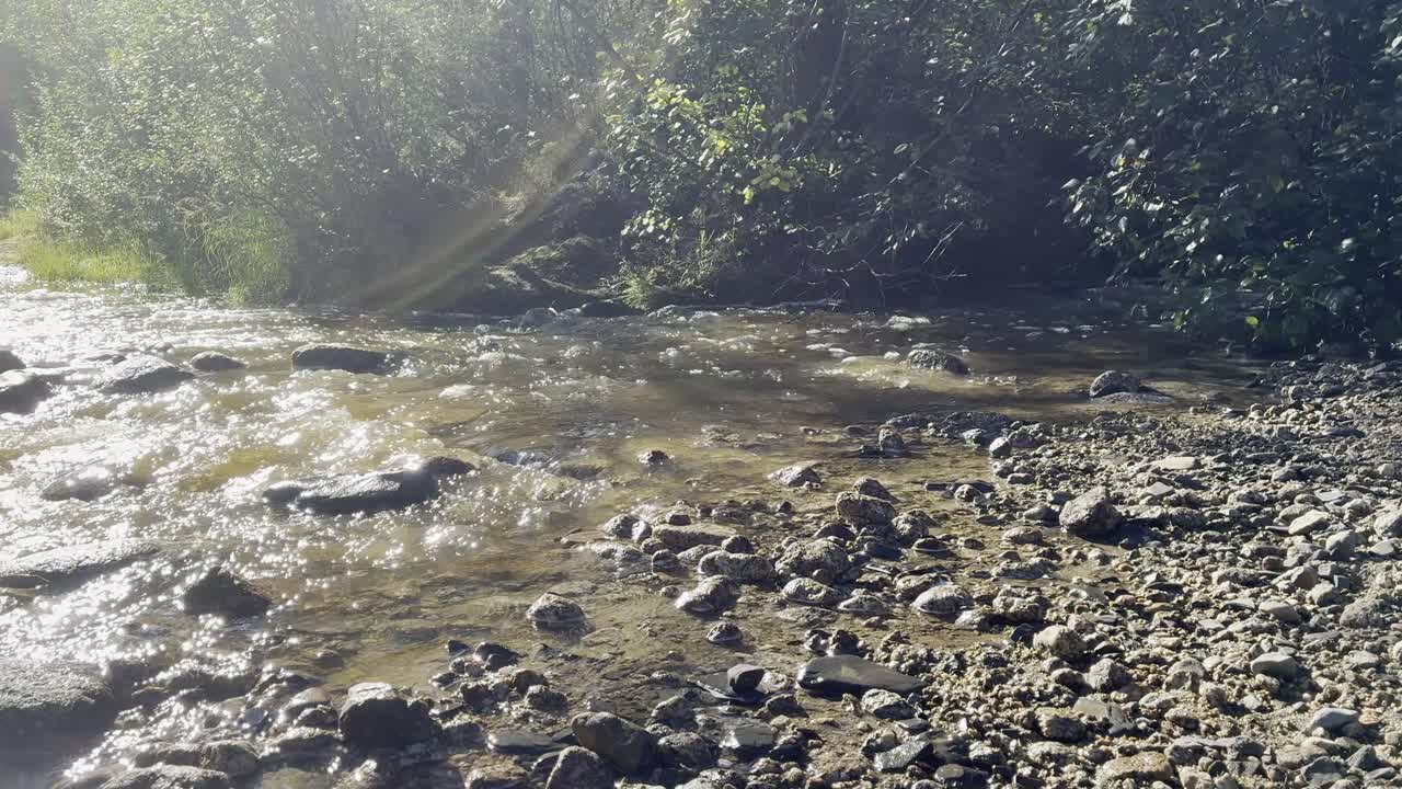 Gentle river water flows over smooth rocks in sun-dappled forest