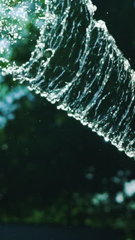 stream of water spraying from garden hose, close up. watering the green grass. slow motion. vertical video