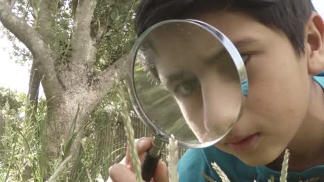 cute boy observing flowers with a magnifying glass