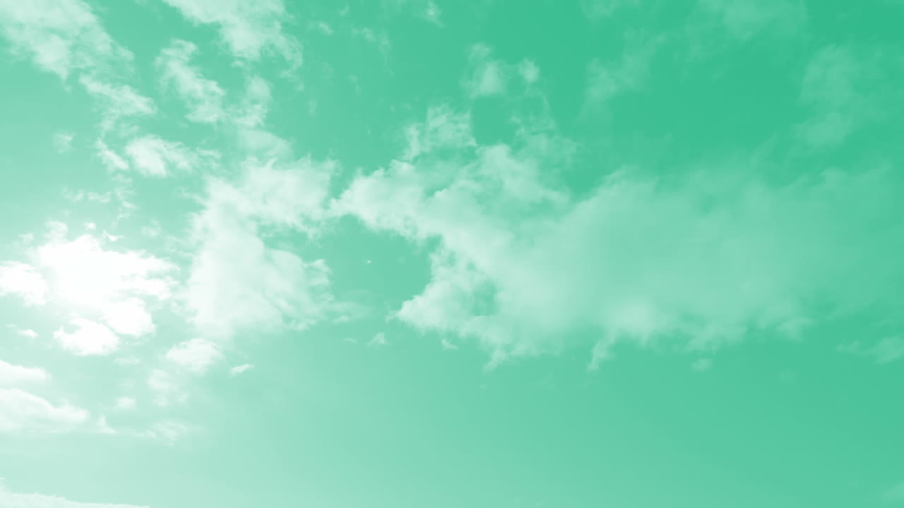 화살표가 초록색 하늘을 향해 올라갑니다.