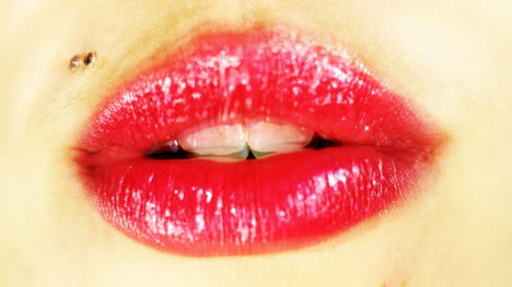 labios 00