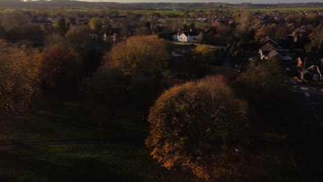 árboles de otoño brillantes con largas sombras en la vista aérea del pueblo de la campiña inglesa