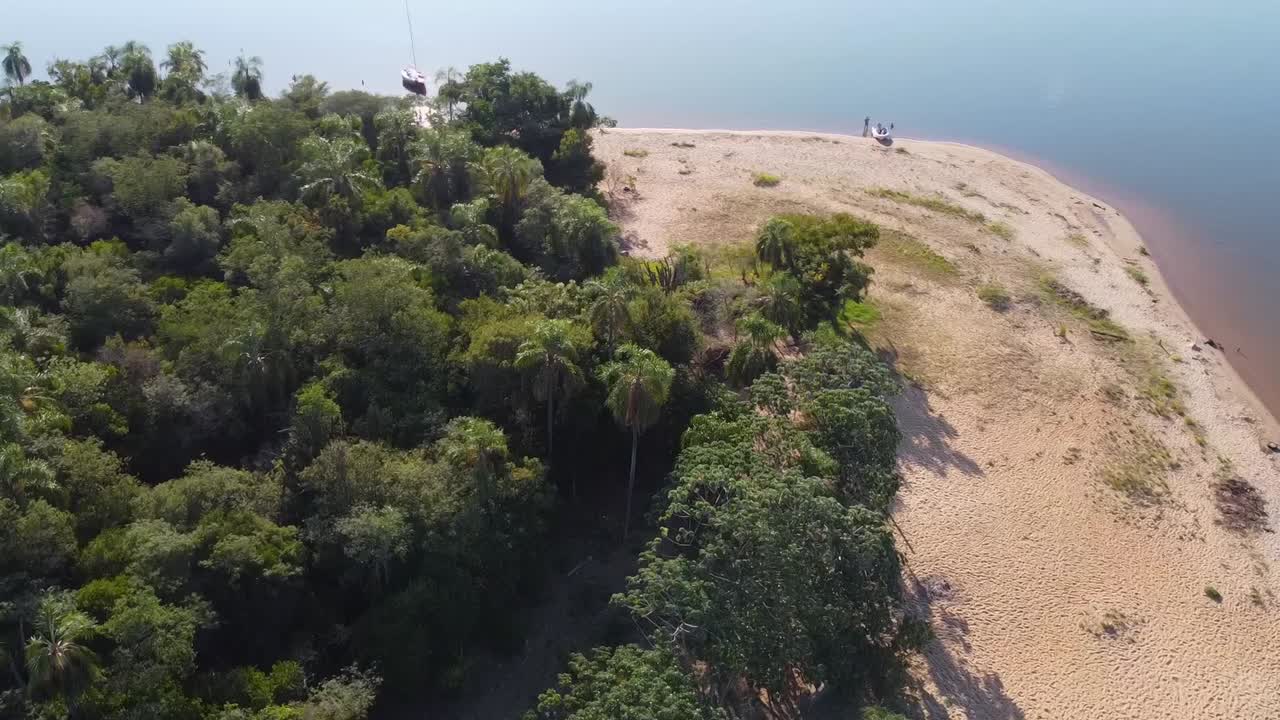 bosque de palmeras en una pequeña isla, vista aérea con movimiento rotatorio