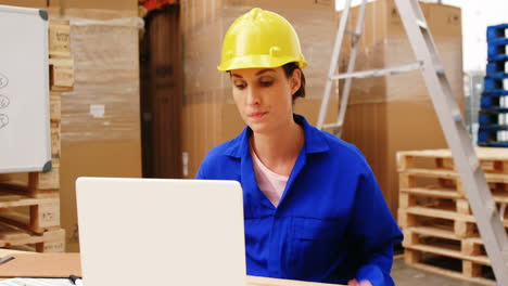 Warehouse-worker-using-a-laptop