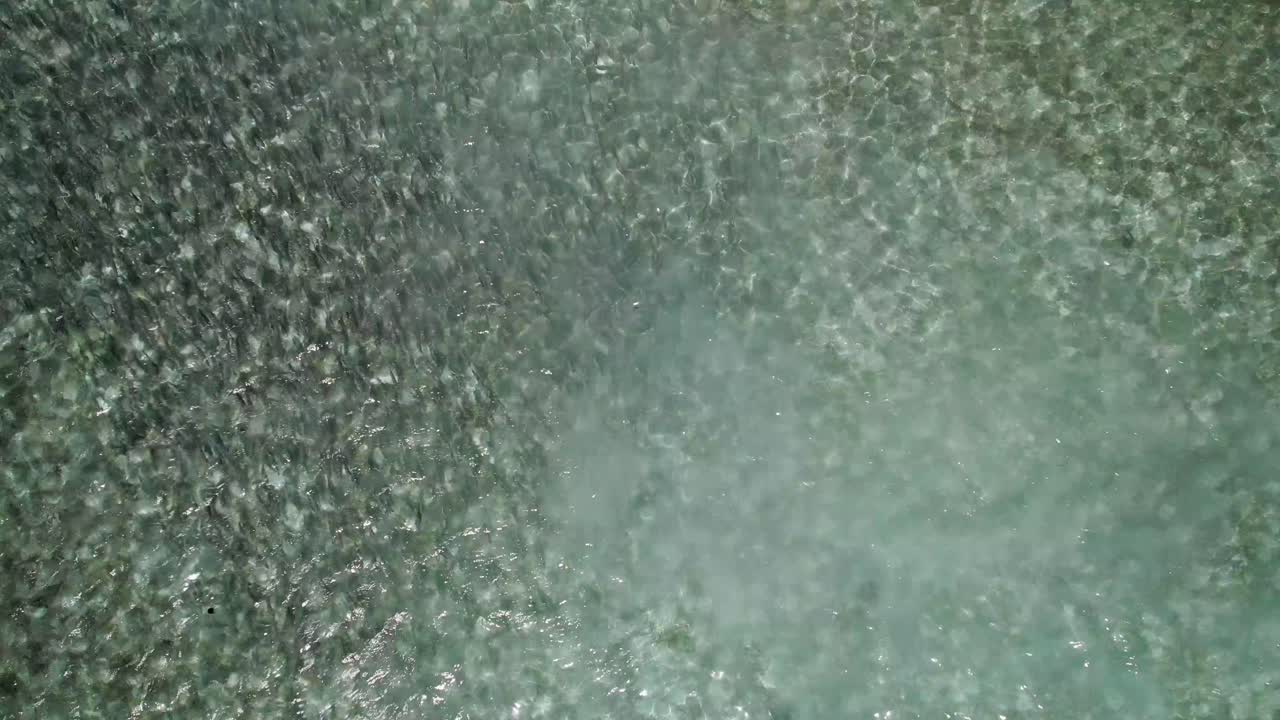 un gran grupo de peces huesos nadando en aguas claras, vista aérea