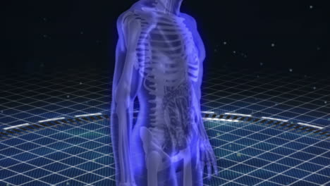 Scan-of-revolving-human-figure