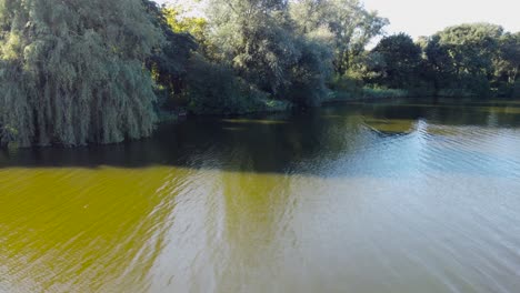 flying-over-shot-of-pond-and-forest-in-Norwich,-England