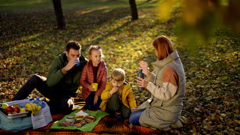 family enjoying a picnic in the autumn park
