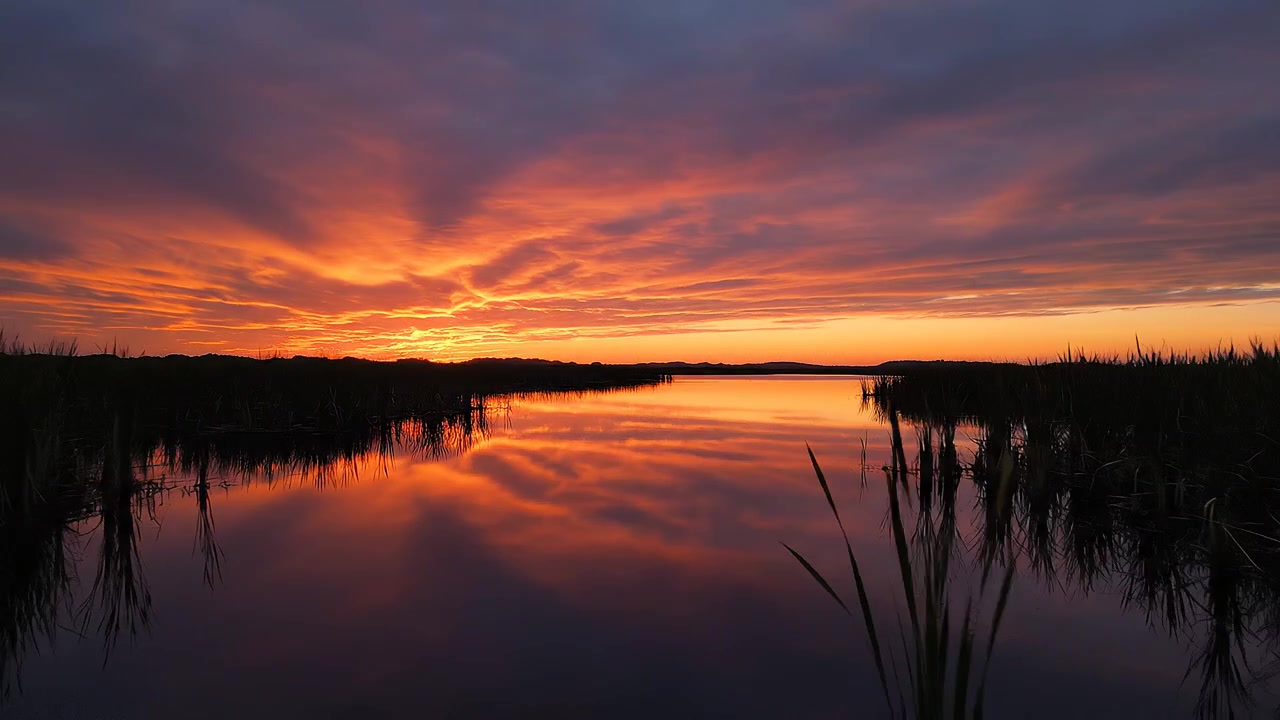 Vibrant Orange Sunset Over a Calm Lake with Cattail Silhouettes