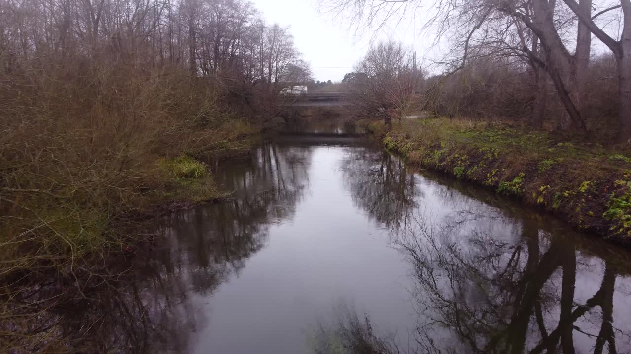 river little ouse, volando sobre el agua hacia la carretera, área forestal en inglaterra