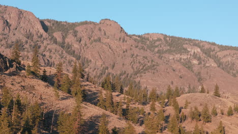 Lac-Du-Bois:-La-Naturaleza-Salvaje-Te-Espera