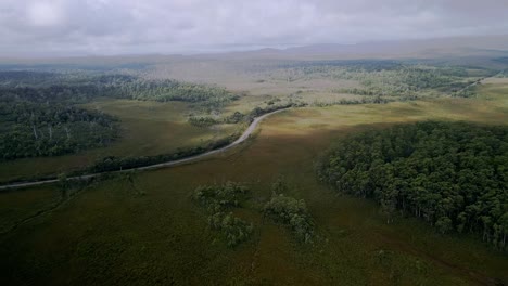 Carretera-Regional-En-Un-Remoto-Campo-De-Hierba-Y-Bosque-Cerca-Del-Puerto-De-Granville-En-La-Costa-Oeste-De-Tasmania,-Australia