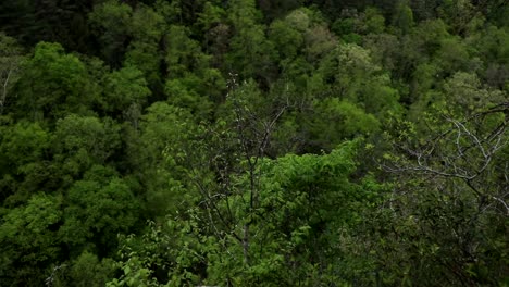 buena toma panorámica de la vista desde un mirador de montaña