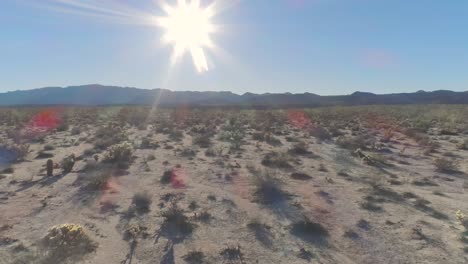 dji phantom 4 pro in the desert of southern california on an open road in between mountains