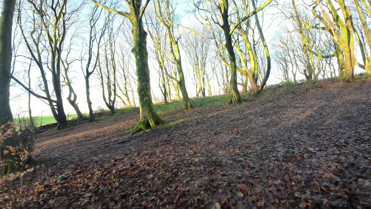 가을 지형을 검색하는 빛나는 일출 태양 광선을 통해 비행하는 fpv 무인 항공기