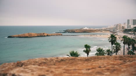 beautiful view on palm trees on shore and island in sea on skyline background