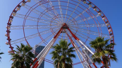 rueda gigante contra el cielo azul cerca de las palmeras en la ciudad turística, día soleado