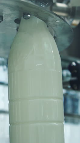 Bottles filling with milk by mechanical machine. Upgraded technology in dairy factory. Process of pouring milk into plastic bottles. Close-up. Vertical video
