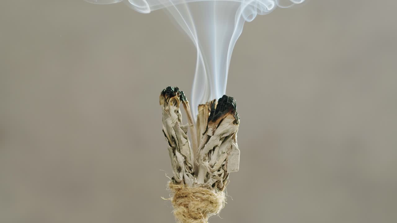 Person holding Palo Santo wood stick in hand, aromatic Palo Santo burning on black background, smoke spreading around, slow motion video clip, high quality 4k close up footage. High quality 4k footage
