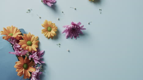 video of yellow and pink flowers in blue envelope and copy space on blue background
