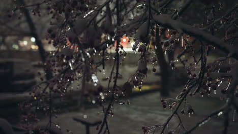 close-up of frosted tree branches covered in ice with warm light illuminating from a distance, with sparkling reflections and a soft bokeh effect in the background