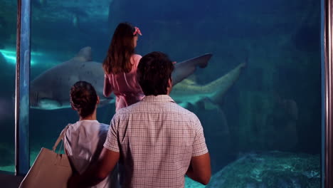 happy family looking at fish in the tank