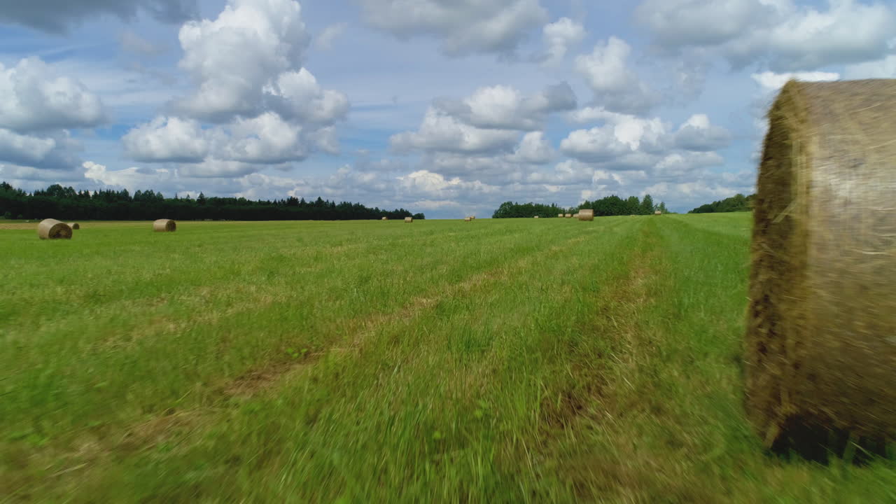 balas de heno en un campo verde