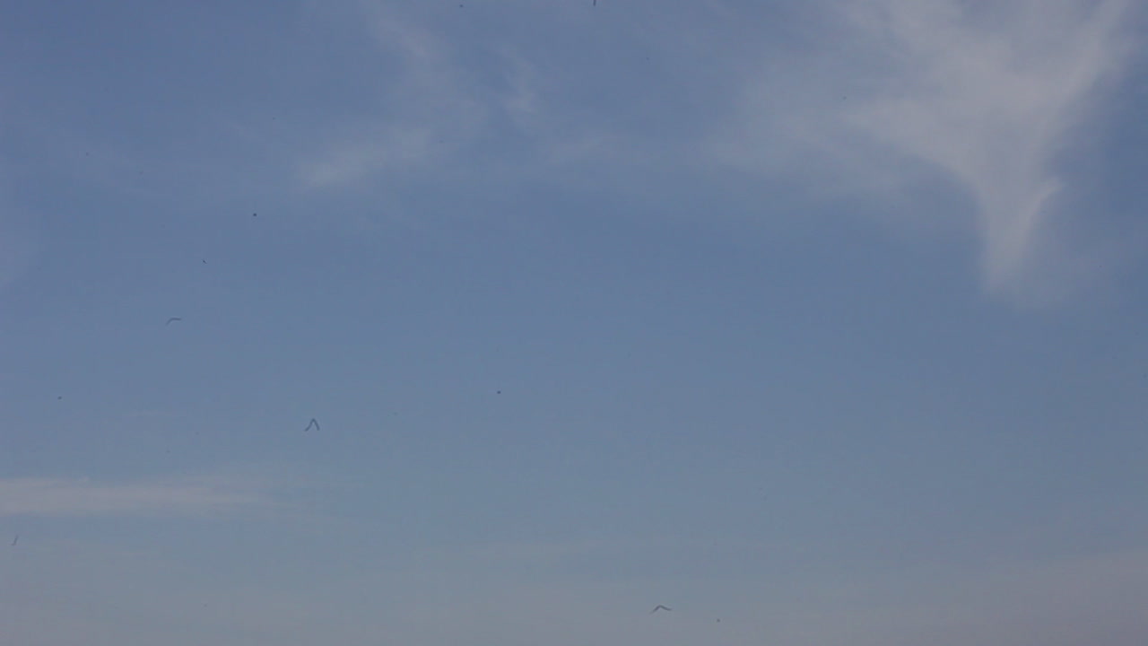 aterrizaje de avión 00