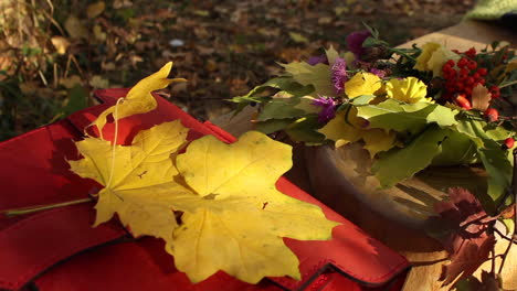 close up view of yellow maple leaf on red bag resting on bench