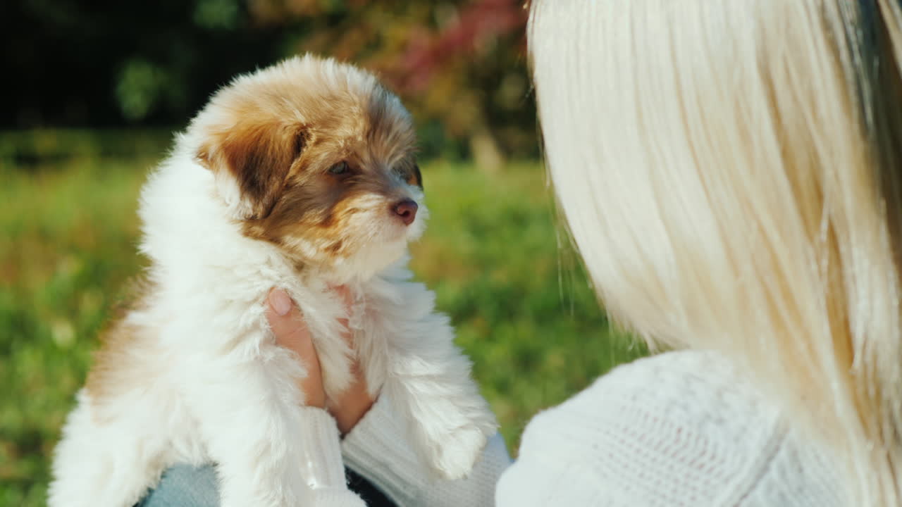 귀여운 강아지를 들고 금발 여자