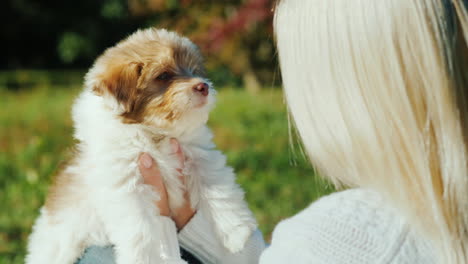 Blonde-Woman-Holding-Cute-Puppy