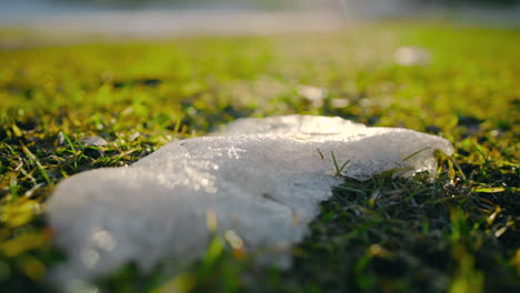 last piece of snow on a green lawn, sunny spring day - circling, closeup view